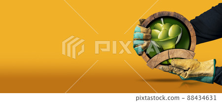Gloved Hands Holding a Wooden Sign with Green Olives and Oil Gloved Hands Holding a Wooden Sign with Green Olives and Oil 88434631