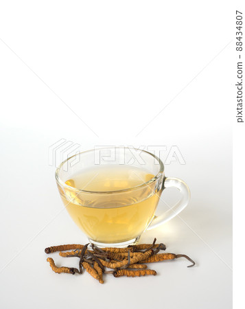 Select focus of mushroom cordyceps (CHONG CAO) this a herbs. With a glass of water, add water from the Ophiocordyceps sinensis extract. Medicinal properties in the treatment of diseases. Select focus of mushroom cordyceps (CHONG CAO) this a herbs. With a glass of water, add water from the Ophiocordyceps sinensis extract. Medicinal properties in the treatment of diseases. 88434807