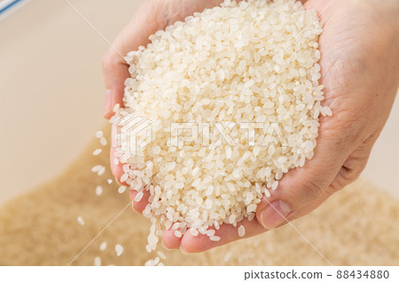 中間女人的手用米飯 88434880