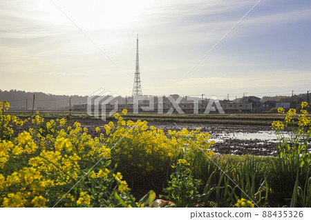 到成田線2022來的春天的風景 88435326