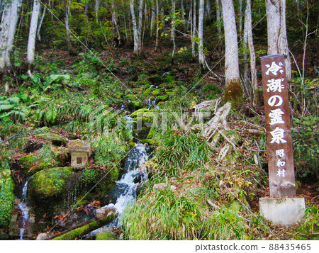 冷湖珍珠 冷湖珍珠 88435465