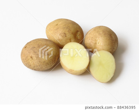 新鮮的新土豆 新鮮的新土豆 88436395