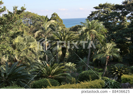 Yakushima Yakushima Green Hotel Strolling around Sotetsuyashi Yakushima Yakushima Green Hotel Strolling around Sotetsuyashi 88436625