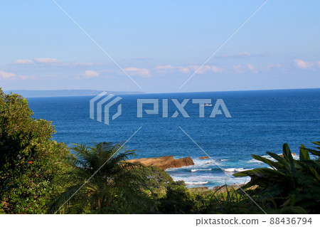Yakushima Yakushima Green Hotel Strolling around Tanegashima overlooking the sea through Sotetsuyashi Yakushima Yakushima Green Hotel Strolling around Tanegashima overlooking the sea through Sotetsuyashi 88436794