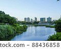 The scenery of Olympic Park that harmonizes well with the city's skyscrapers 88436858