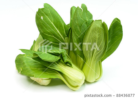 Fresh food growing from the ground 88436877