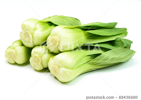 Fresh food growing from the ground 88436880