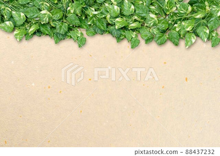 Green background image Green background image 88437232