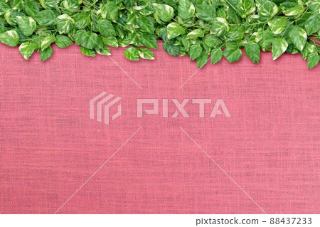 Green background image Green background image 88437233