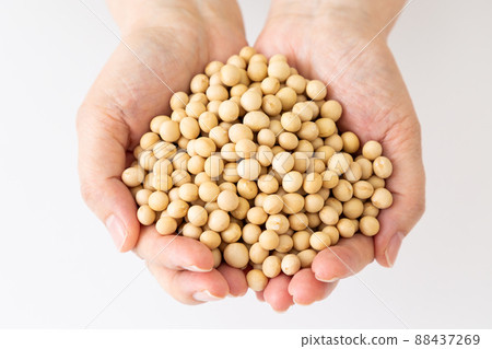 Middle woman with soybeans Middle woman with soybeans 88437269