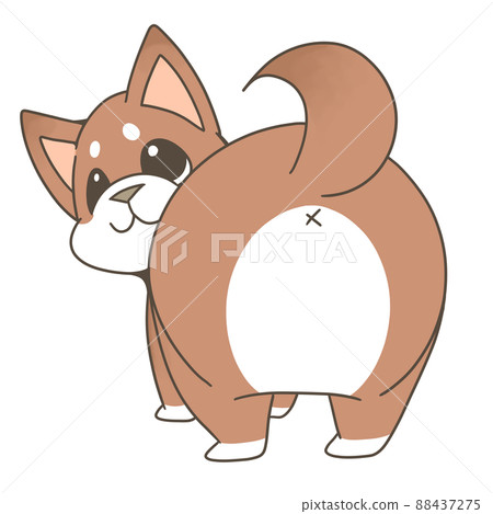 Shiba Inu 展示臀部 Shiba Inu 展示臀部 88437275