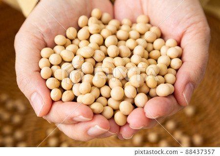 Middle woman with soybeans Middle woman with soybeans 88437357