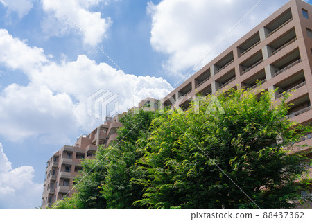 家庭式公寓綠色和藍天 88437362