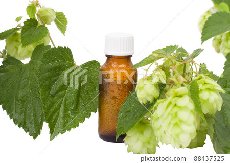 Natural Medicine - geen hops & brown bottle. Natural Medicine - geen hops & brown bottle. 88437525