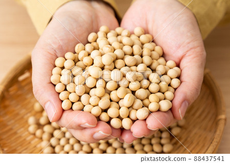 Middle woman with soybeans 88437541