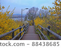 Forsythia scenery on the Eungbongsan trail 88438685