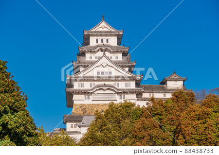(Hyogo Prefecture) World heritage site, Himeji Castle, cherry blossoms in full bloom 88438733