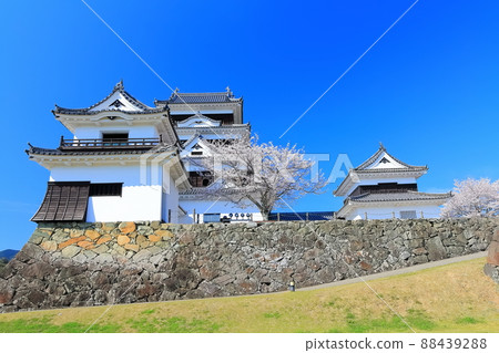 [愛媛縣]櫻花盛開的春天的小津城 88439288