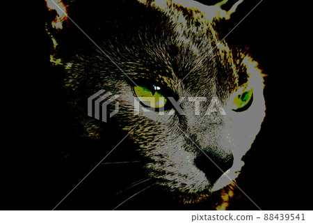 Cat russian blue 88439541