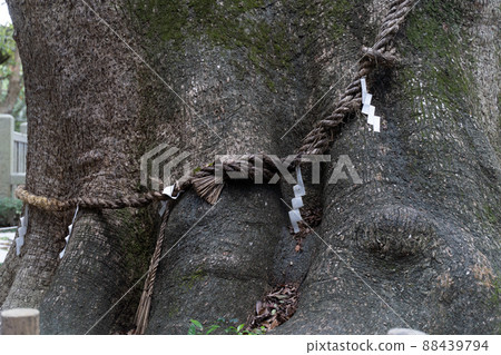 Okiki Okiki 88439794