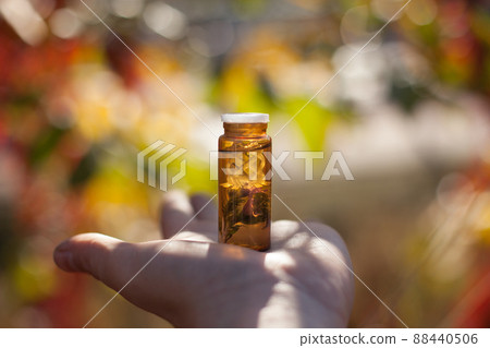 Bach flower therapy. Bach flower remedies - Natural medicine. 88440506