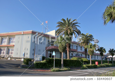 Kagoshima Prefecture / Kumage Branch Office Yakushima Joint Government Building View from the front of Prefectural Road 77 over the date palm Kagoshima Prefecture / Kumage Branch Office Yakushima Joint Government Building View from the front of Prefectural Road 77 over the date palm 88440607