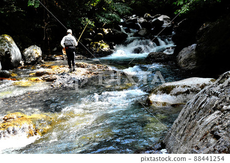 Mountain stream fishing on the Seisougo and Kono rivers, which are tributaries of the Kiso River 88441254