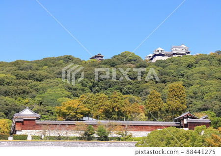 [愛媛縣]從城山公園看到的秋天的松山城（現有12座天守閣） 88441275