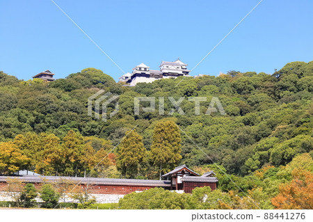 [愛媛縣]從城山公園看到的秋天的松山城（現有12座天守閣） 88441276