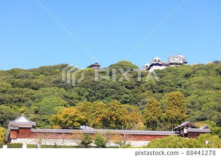 [愛媛縣]從城山公園看到的秋天的松山城（現有12座天守閣） 88441278