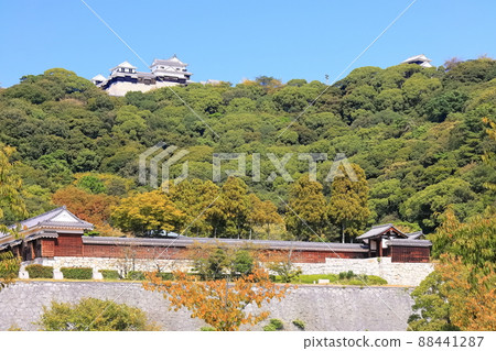 [Ehime Prefecture] Autumn Matsuyama Castle seen from Shiroyama Park (12 existing castle towers) 88441287
