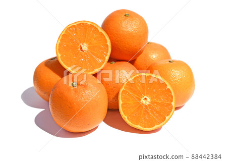 Citrus (tankan) 88442384