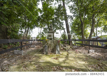 東林山大仙寺（岡崎市） 88442431