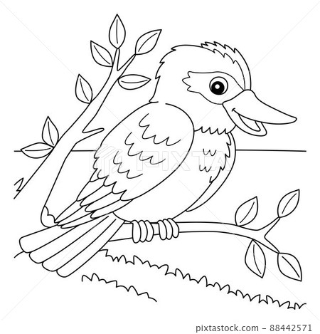Kookaburra Animal Coloring Page for Kids Kookaburra Animal Coloring Page for Kids 88442571
