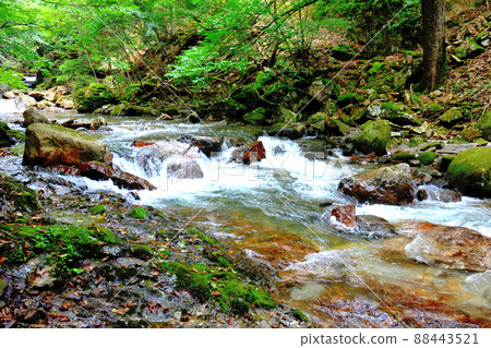 與龍谷谷匯合處附近的一之瀨川 與龍谷谷匯合處附近的一之瀨川 88443521