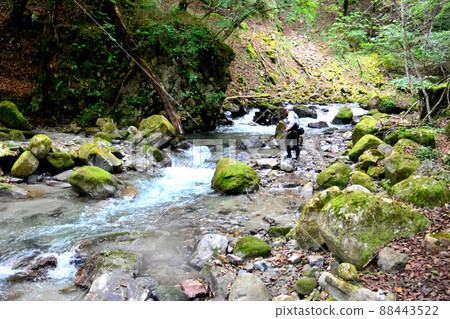Ichinose River mountain stream fishing 88443522