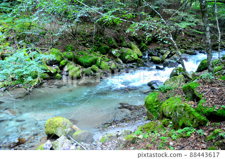 Ishikusu 花橋附近的一之瀨川 Ishikusu 花橋附近的一之瀨川 88443617