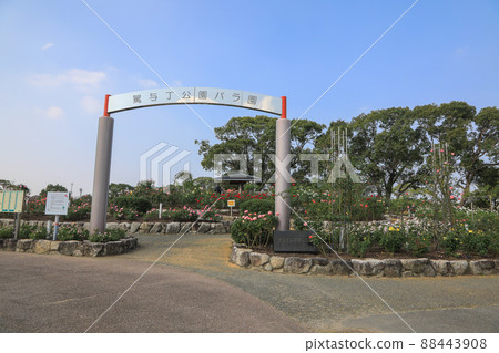 Yu Yingji Park Rose Garden 88443908