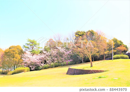 Spring scenery around Gwangmyeong Pond Spring scenery around Gwangmyeong Pond 88443970