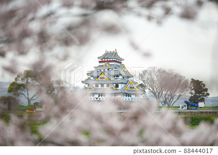 “櫻花”原城遺址 原城一輝祭 夜城 “櫻花”原城遺址 原城一輝祭 夜城 88444017