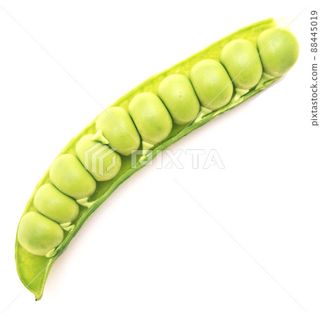 green pea green pea 88445019