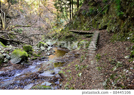 Tanzawa's seven swamps, Yataro forest road, Mitsumineyama course, a road that passes through the Fukasawa of the Yataro River 88445106