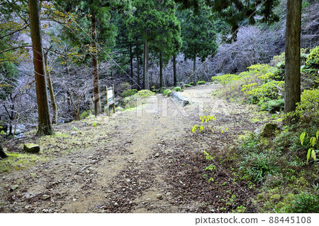 Tanzawa's Mitsumineyama Fudojiri 88445108