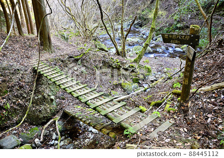 丹澤的三峰山,橫跨谷太郎川的木橋 丹澤的三峰山,橫跨谷太郎川的木橋 88445112