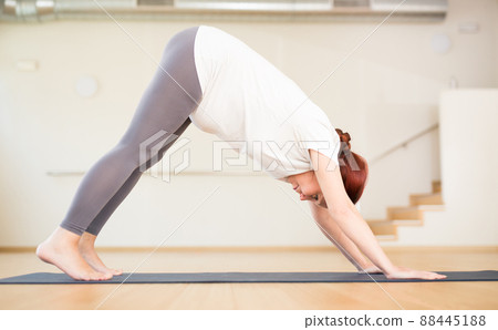 Pregnant woman is engaged in yoga. Downward Dog Pose or Adho Mukha Svanasana 88445188