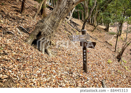 丹澤小山 三重山 小山 三重山縱貫路線 落葉山道 丹澤小山 三重山 小山 三重山縱貫路線 落葉山道 88445313