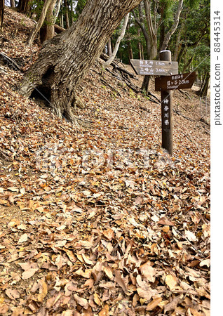 丹澤小山 三重山 小山 三重山縱貫路線 落葉山道 丹澤小山 三重山 小山 三重山縱貫路線 落葉山道 88445314