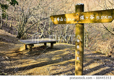 Tanzawa's Oyama Mt. Miune Mountain Trail on the Oyama Mt. Miune Longitudinal Course Tanzawa's Oyama Mt. Miune Mountain Trail on the Oyama Mt. Miune Longitudinal Course 88445353