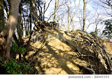 三根山、丹澤、北嶺山頂 三根山、丹澤、北嶺山頂 88445355