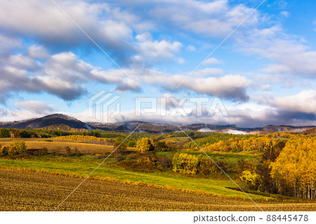 October Hokkaido Biei, autumn leaves and morning mist, Japan 88445478